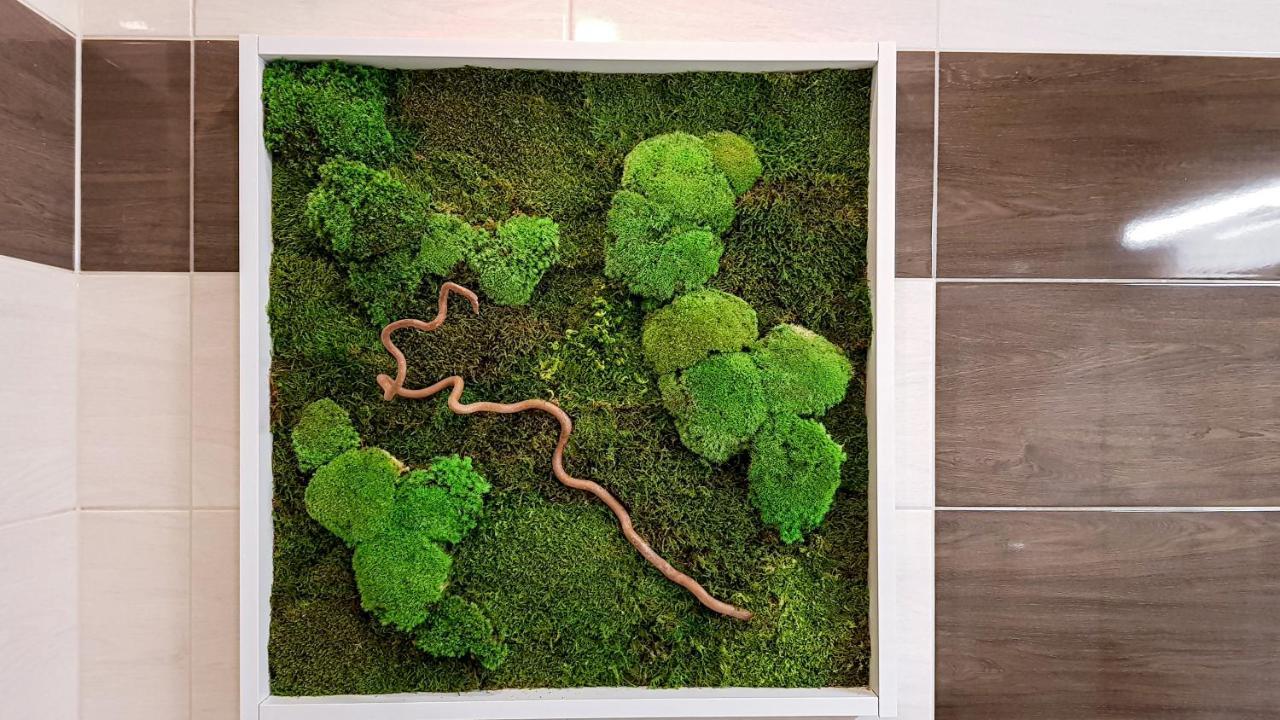 Apartman Liana Hrebienok C206 Vysoké Tatry Exteriér fotografie